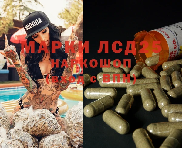 ECSTASY Богородицк