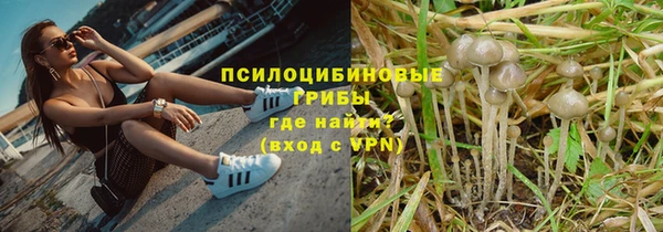 ECSTASY Богородицк