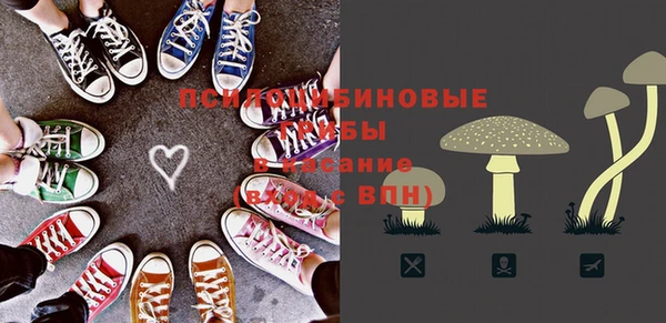 ECSTASY Богородицк
