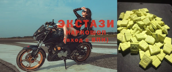 ECSTASY Богородицк