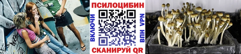 Псилоцибиновые грибы GOLDEN TEACHER  даркнет состав  Альметьевск 